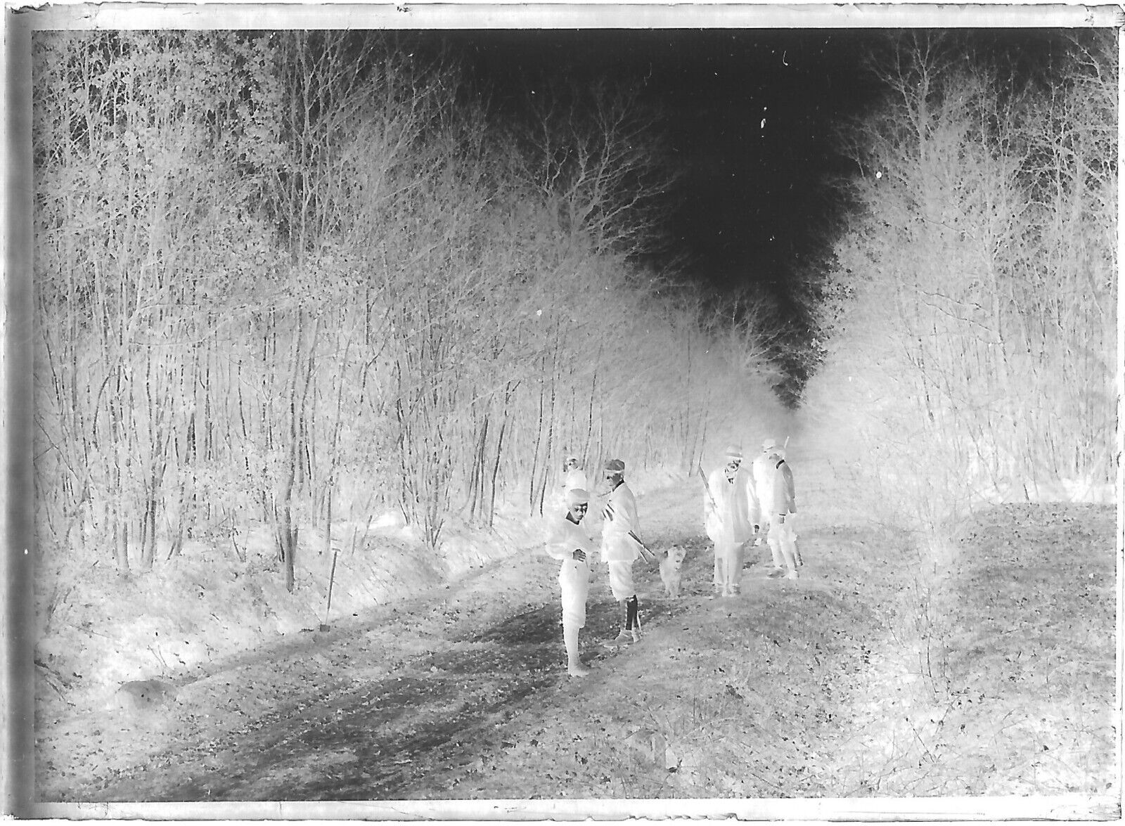 Plaque verre photo négatif noir et blanc 6x9 cm chasse chien glass plate France 