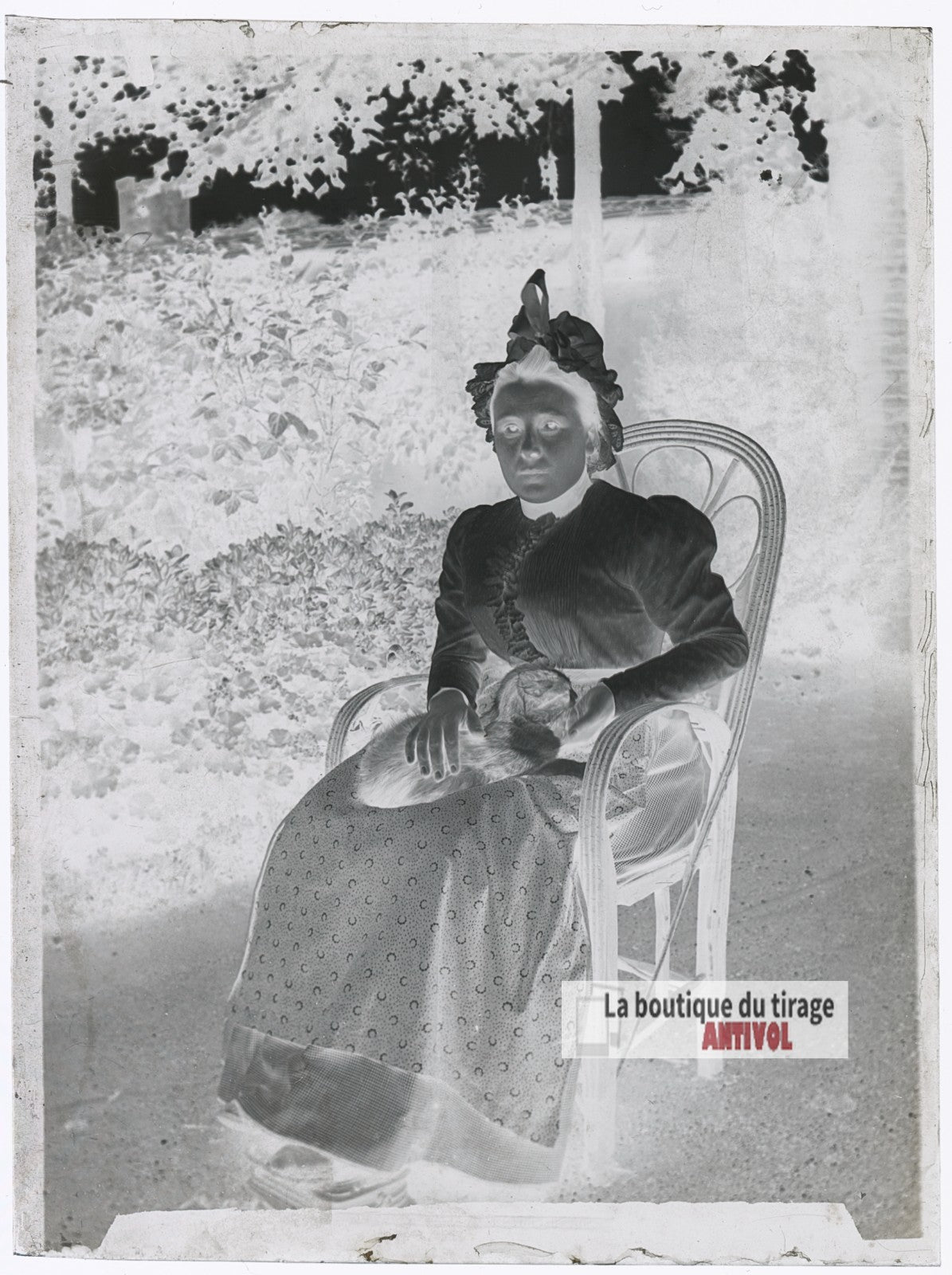 Jeune femme, chat, costume, plaque verre photo ancienne, négatif 9x12 cm