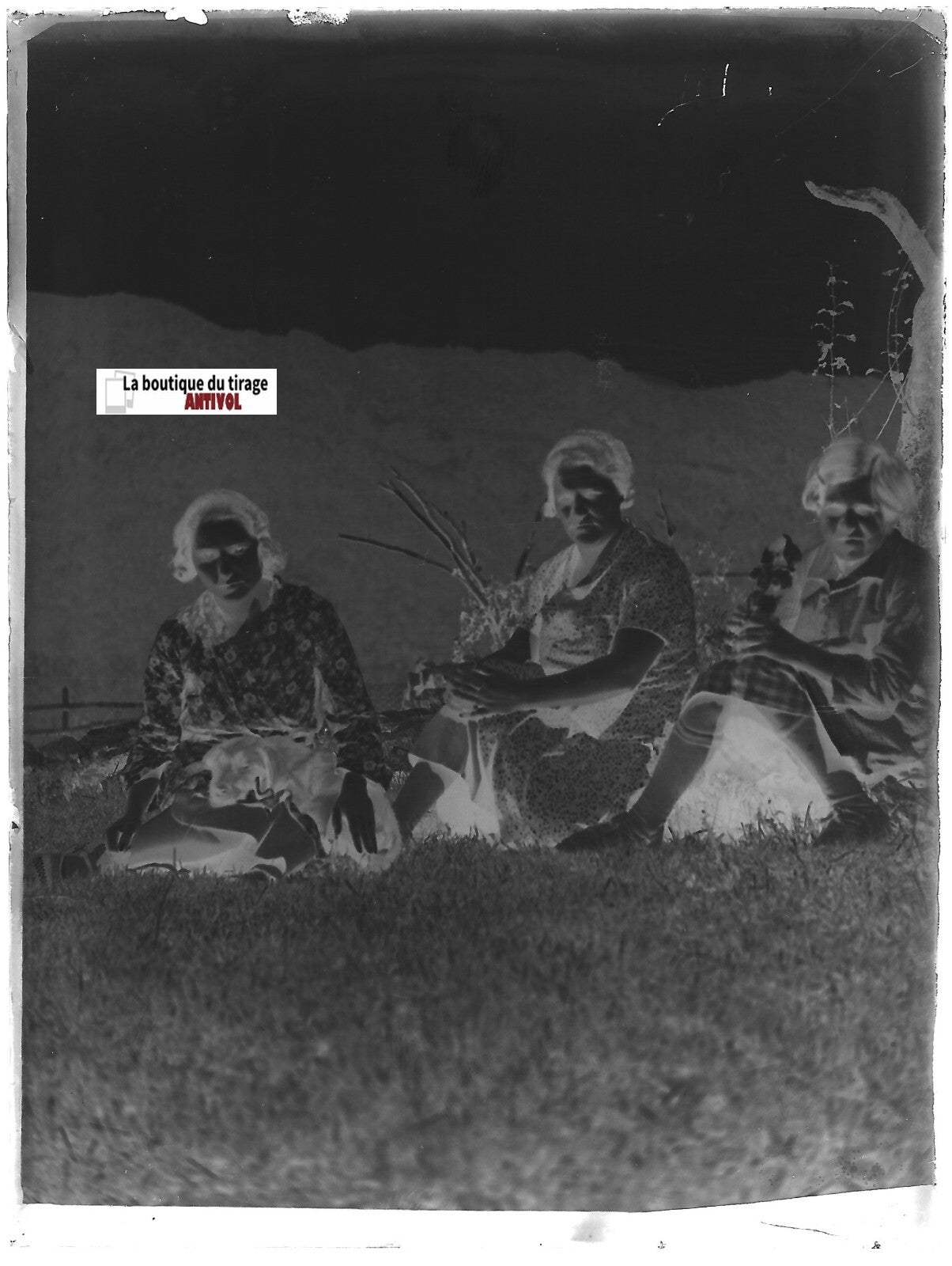 Montagne, chiot, dame, Plaque verre photo ancienne, négatif noir & blanc 9x12 cm