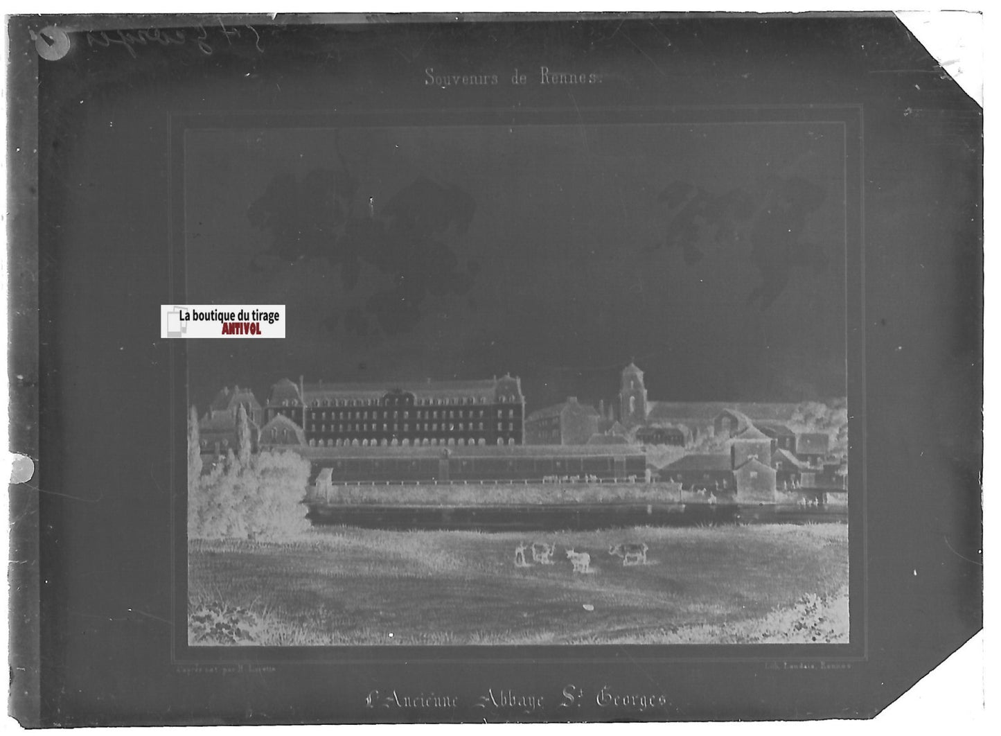 Rennes, Abbaye Saint-Georges, Plaque verre photo, négatif noir & blanc 6x9 cm