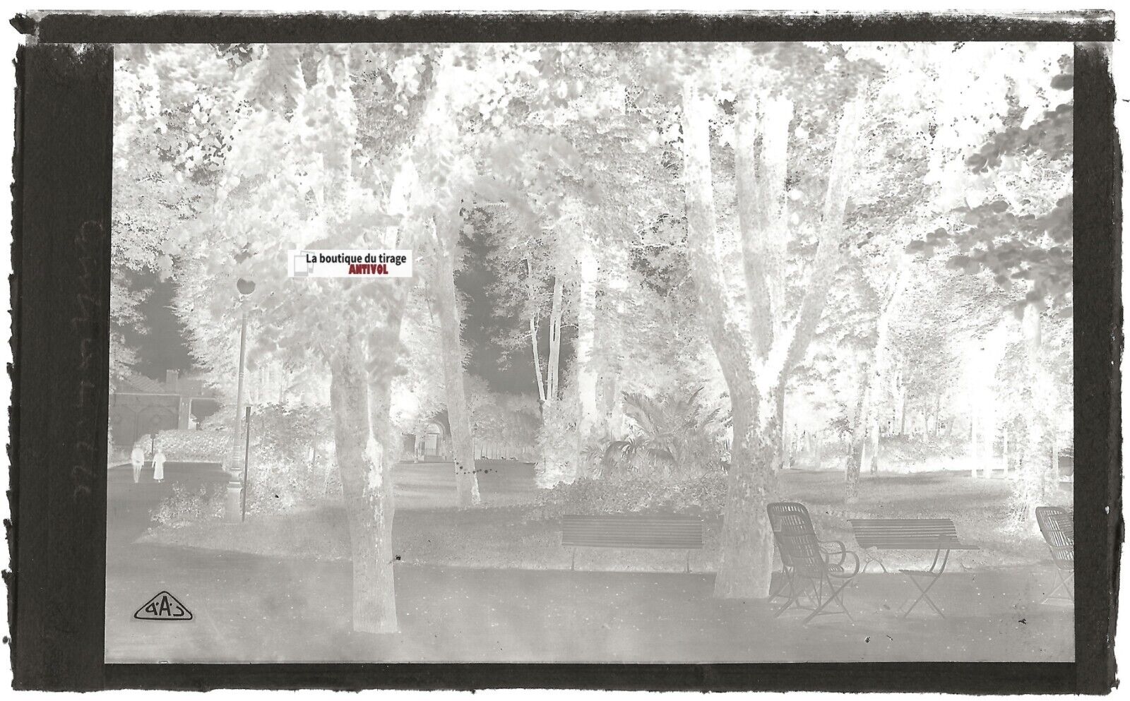 Plaque verre photo ancienne, négatif noir & blanc 9x14 cm, Contrexéville, jardin