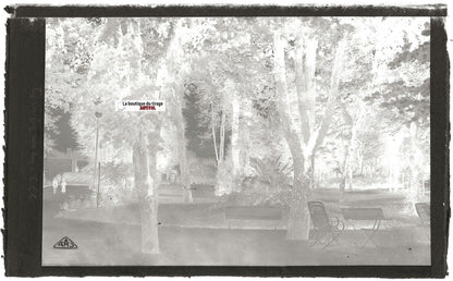 Plaque verre photo ancienne, négatif noir & blanc 9x14 cm, Contrexéville, jardin