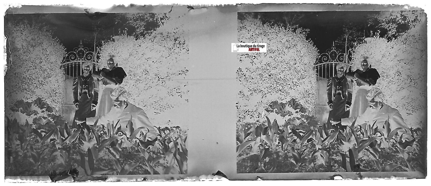 Famille, jardin, Plaque verre photo stéréo, négatif noir & blanc 4,5x10,7 cm