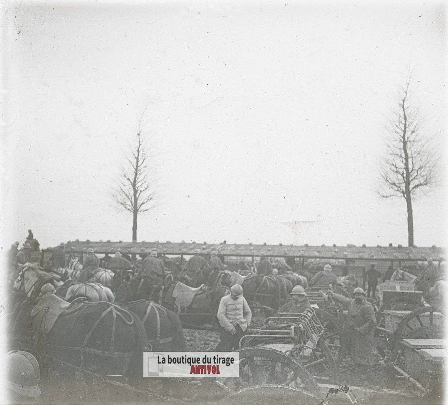 Artillerie hippomobile, chevaux WW1, plaque verre photo ancienne stéréo 6x13 cm