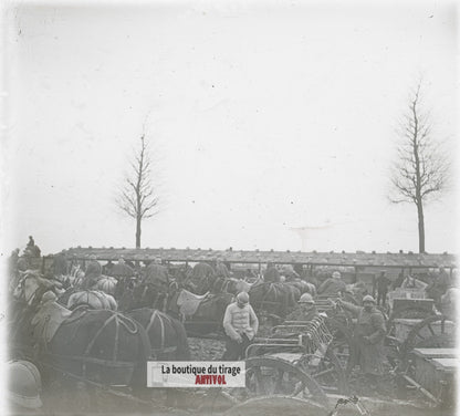 Artillerie hippomobile, chevaux WW1, plaque verre photo ancienne stéréo 6x13 cm