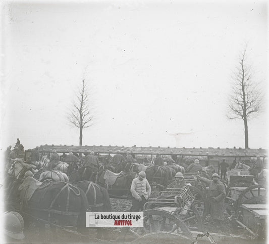 Artillerie hippomobile, chevaux WW1, plaque verre photo ancienne stéréo 6x13 cm