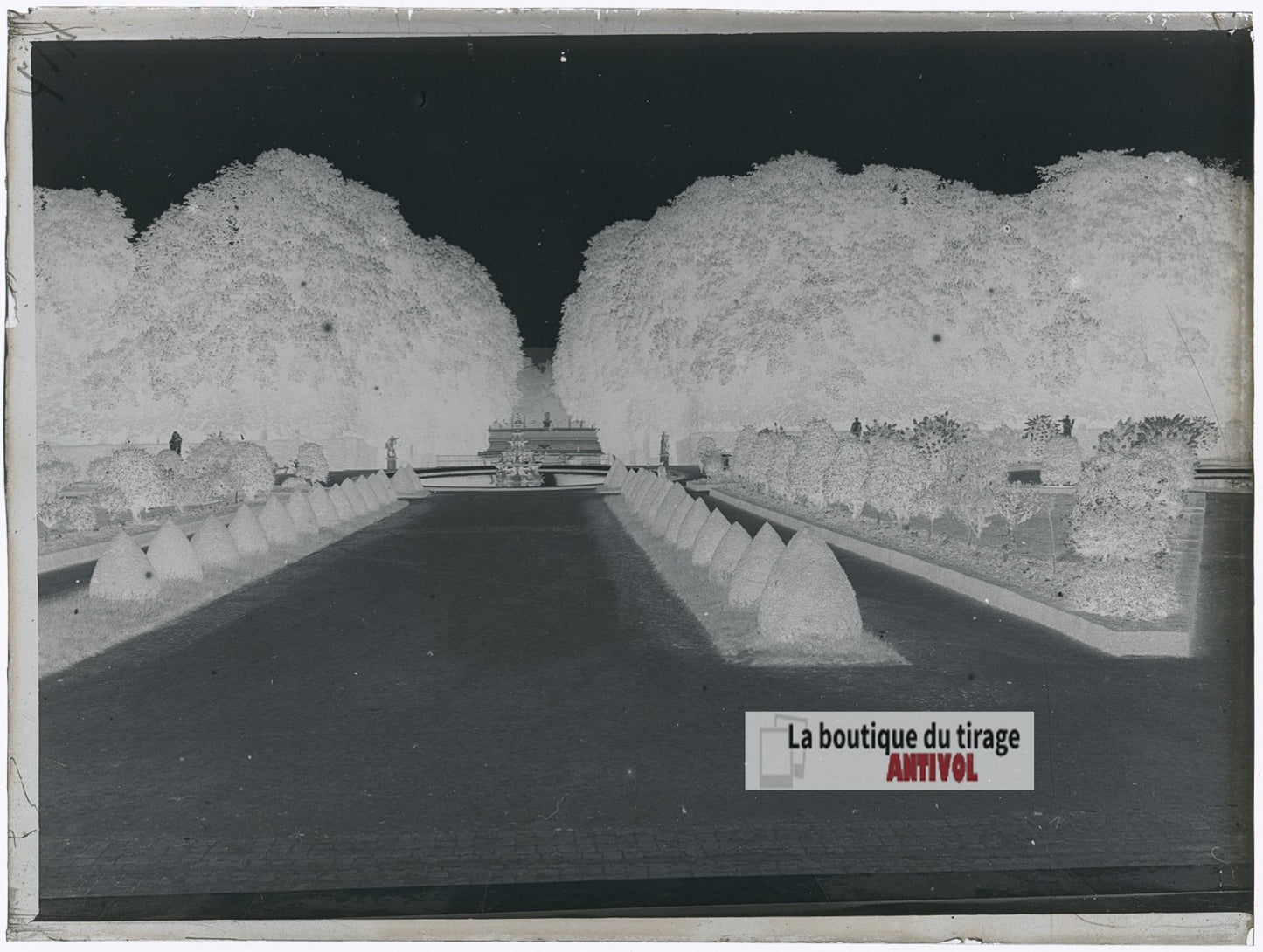 Allée des jardins de Versailles, plaque verre photo ancienne, négatif 9x12 cm