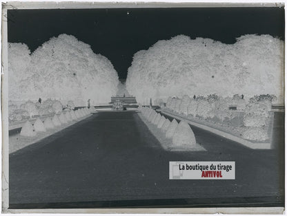 Allée des jardins de Versailles, plaque verre photo ancienne, négatif 9x12 cm