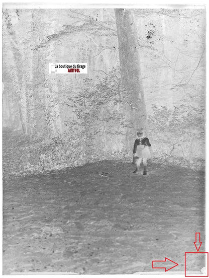 Jeune fille, bois, plaque verre photo ancienne, négatif noir & blanc 9x12 cm