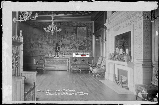 Plaque verre photo, négatif noir & blanc 9x14 cm, château de Pau, Henri d'Albret