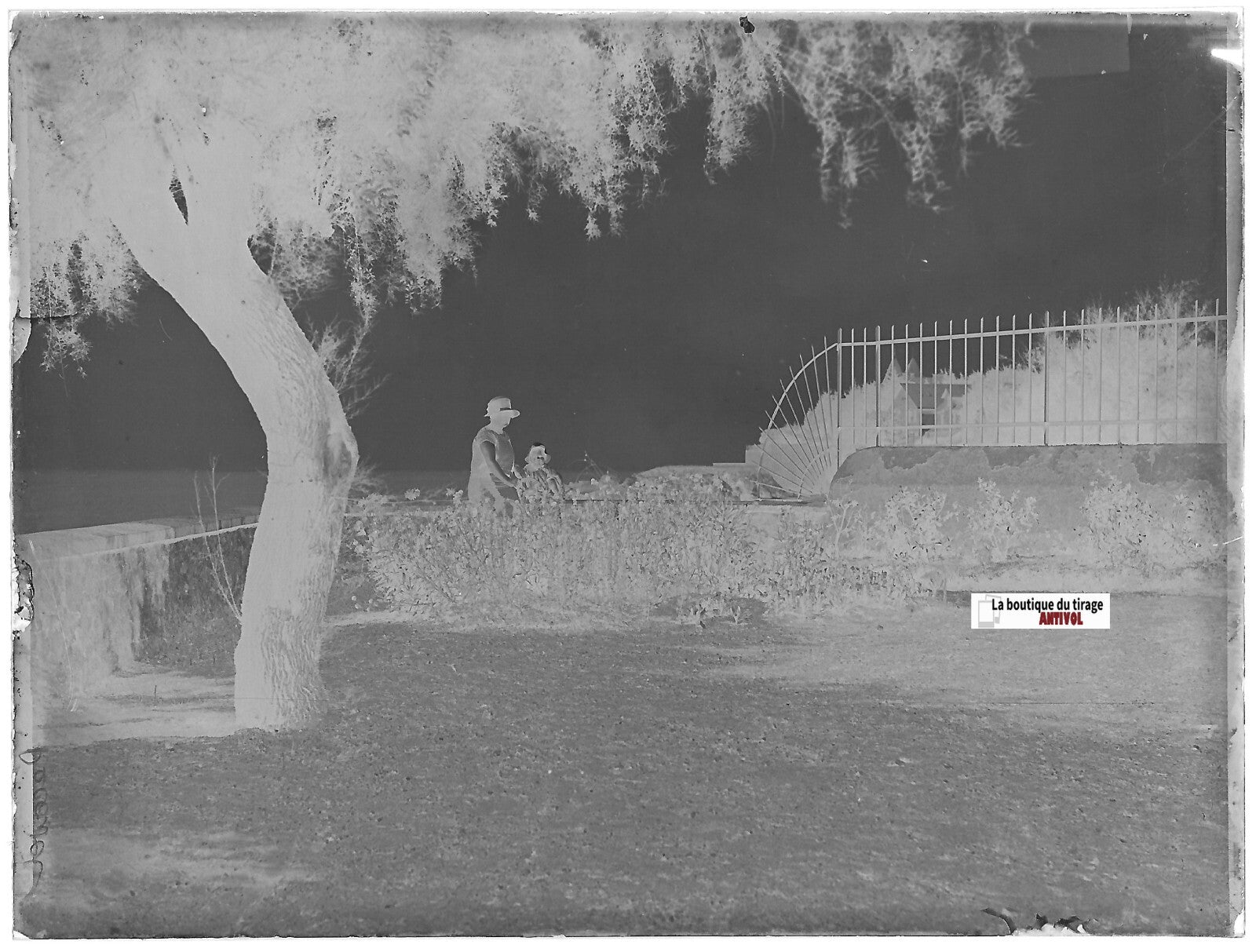 Jardin, mer, France, Plaque verre photo ancienne, négatif noir & blanc 9x12 cm