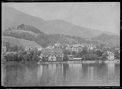 Bailly, Renard, chevaux, photos plaque de verre, lot de 10 négatifs 4x6 cm