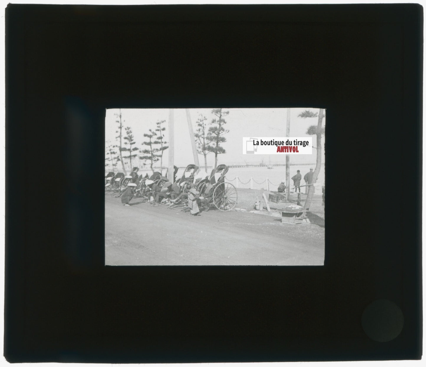 Asie, Japon, Yokohama, photo plaque verre, noir & blanc, positif 8,5x10 cm