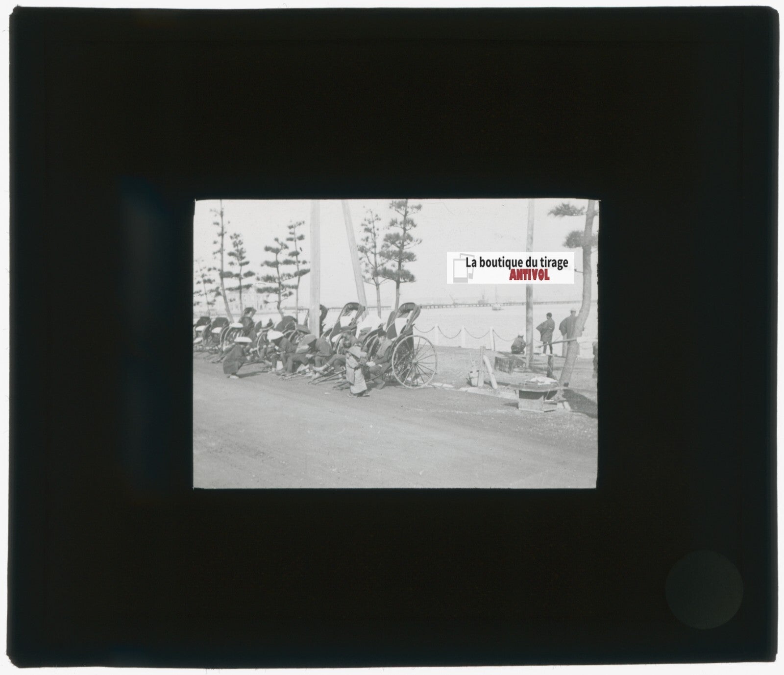 Asie, Japon, Yokohama, photo plaque verre, noir & blanc, positif 8,5x10 cm