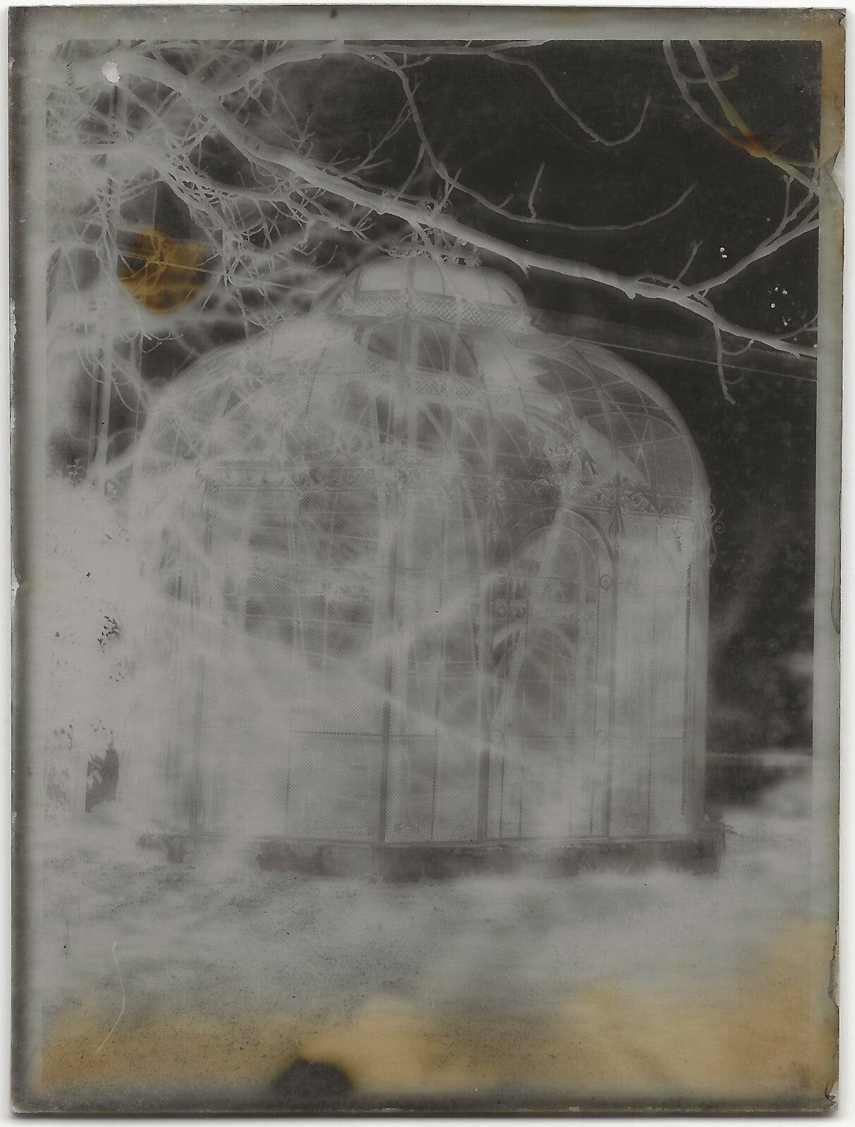 Verrière, serre, Plaque verre photo ancienne, négatif noir & blanc 9x12 cm