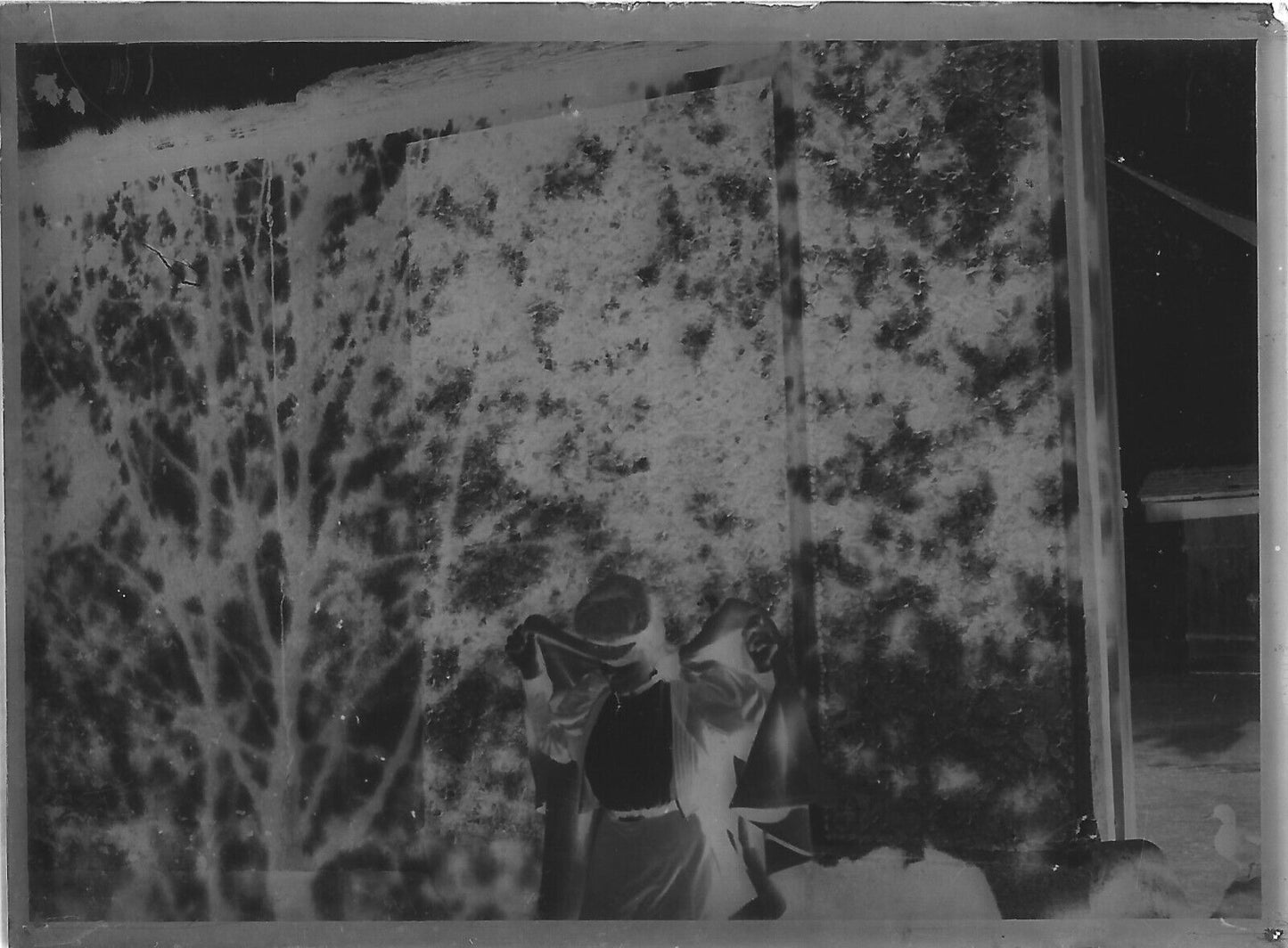 Plaque verre photo négatif noir et blanc 6x9 cm femme robe ferme France vintage