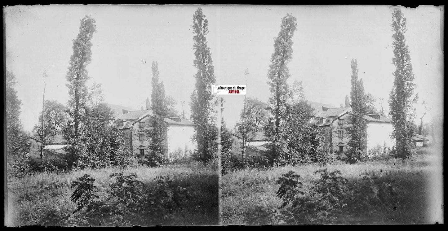 Maison, arbres, Plaque verre photo ancienne, stéréo négatif noir & blanc 9x18 cm