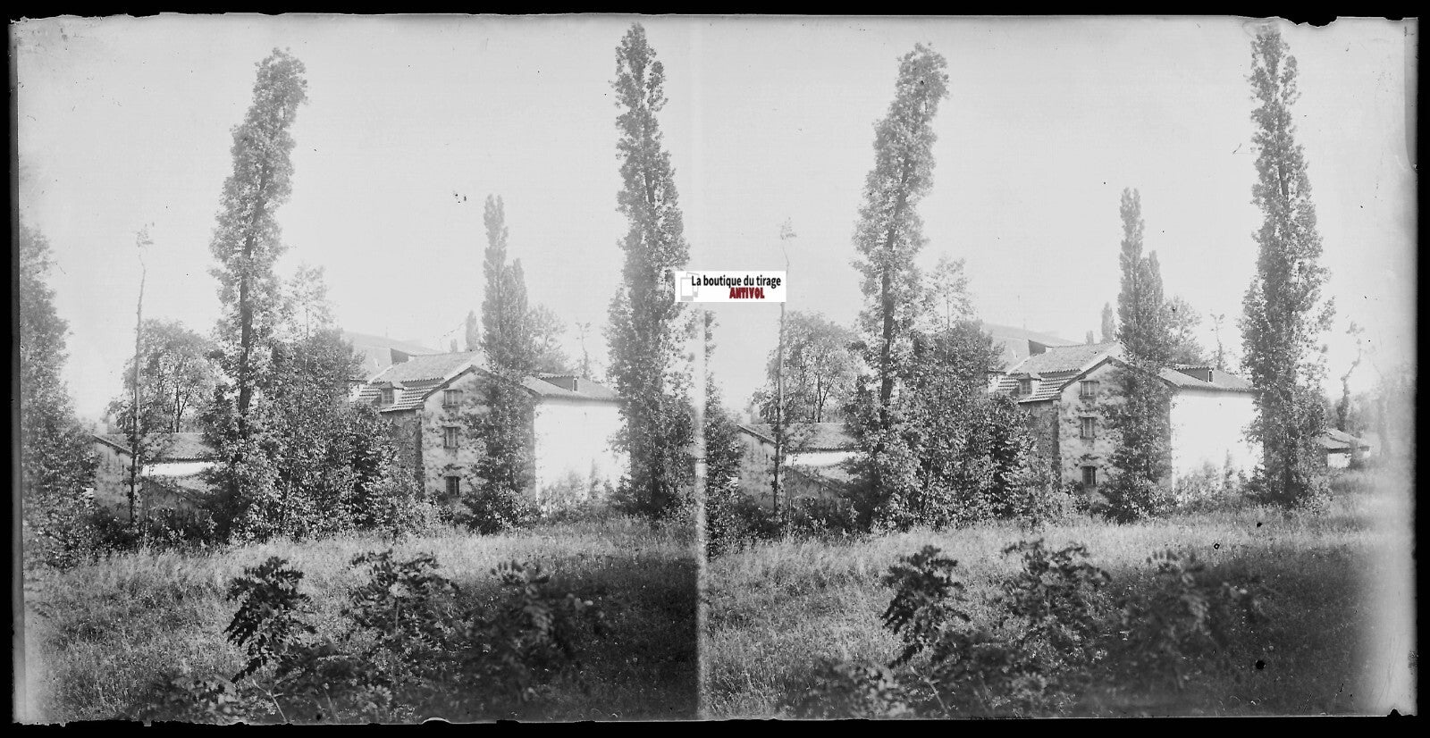 Maison, arbres, Plaque verre photo ancienne, stéréo négatif noir & blanc 9x18 cm