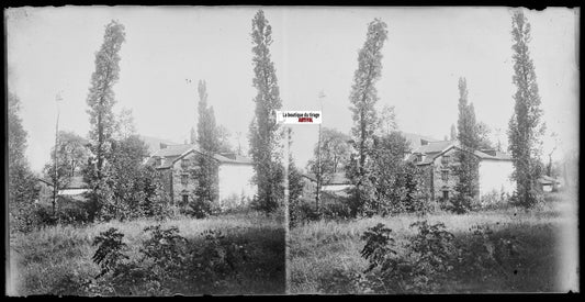 Maison, arbres, Plaque verre photo ancienne, stéréo négatif noir & blanc 9x18 cm