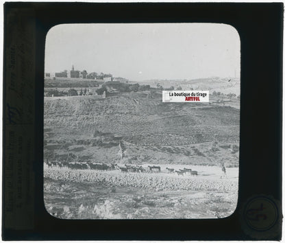 Route Jérusalem à Bethléem, photo plaque verre, noir & blanc, positif 8,5x10 cm