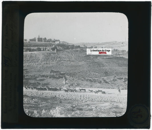 Route Jérusalem à Bethléem, photo plaque verre, noir & blanc, positif 8,5x10 cm