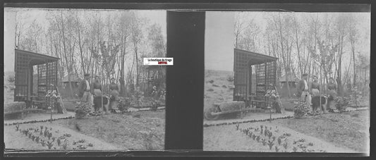 Antique stereoscopic photo of a garden scene with people and farming tools, early 20th century, black and white negative.