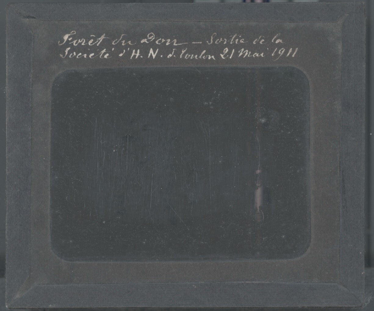 Forêt de Dom, 1911, groupe, photo ancienne plaque de verre, positif 8,5x10 cm