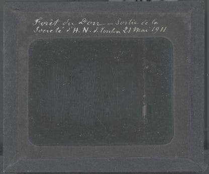 Forêt de Dom, 1911, groupe, photo ancienne plaque de verre, positif 8,5x10 cm
