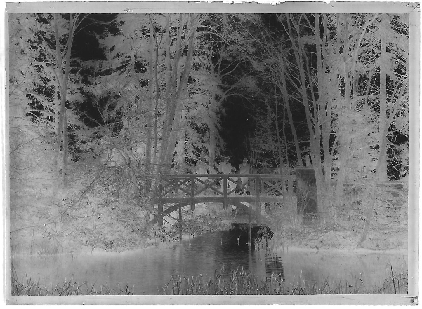 Plaque verre photo ancienne négatif noir et blanc 6x9 cm hommes ponton eau 