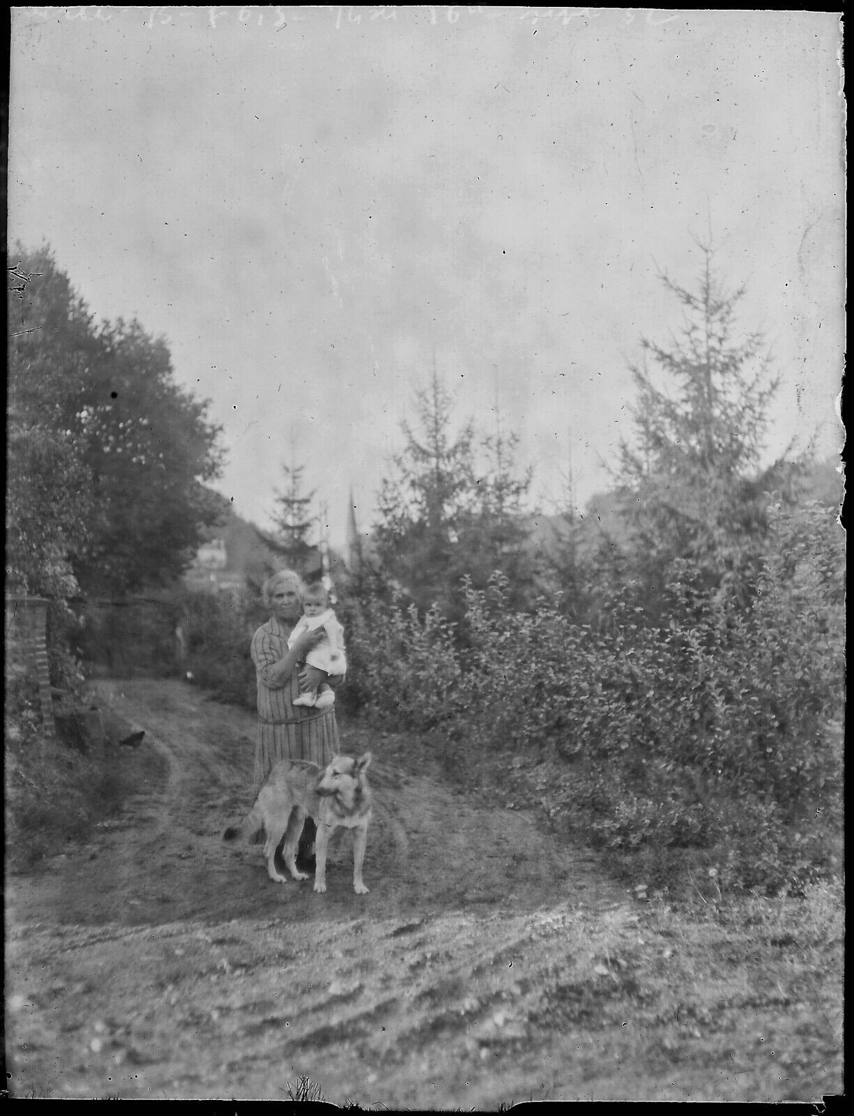 Plaque verre photo ancienne négatif noir et blanc 9x12 cm bébé femme chien 