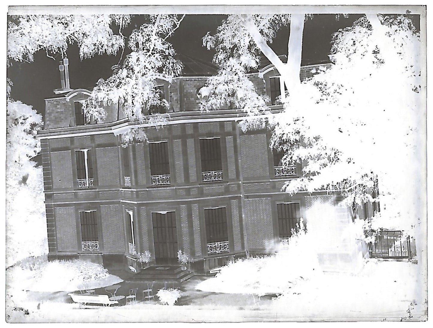 Bailly, Renard, chevaux, photos plaque de verre, lot de 10 négatifs 4x6 cm