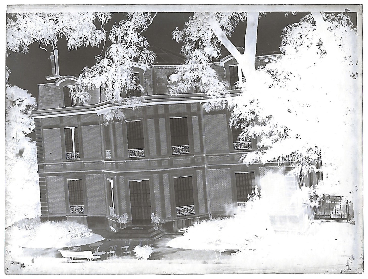 Bailly, Renard, chevaux, photos plaque de verre, lot de 10 négatifs 4x6 cm