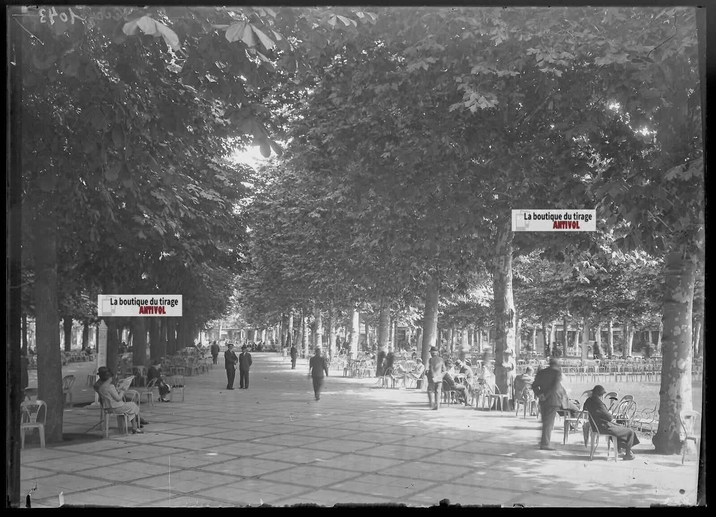 Plaque verre photo ancienne négatif noir et blanc 13x18 cm Vichy parc public