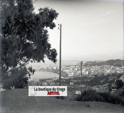 Algérie, Alger mer, plaque verre, photo stéréo, négatif N&B 6x13 cm