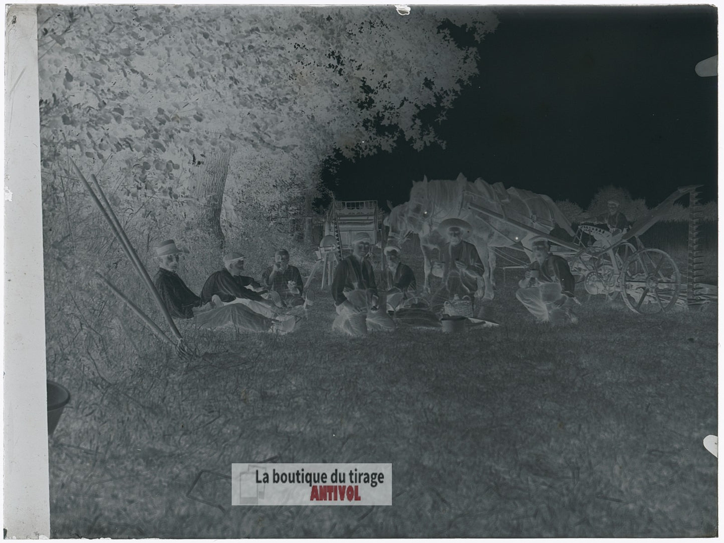 Travailleurs des champs, moissons, plaque verre, photo ancienne, négatif 9x12 cm