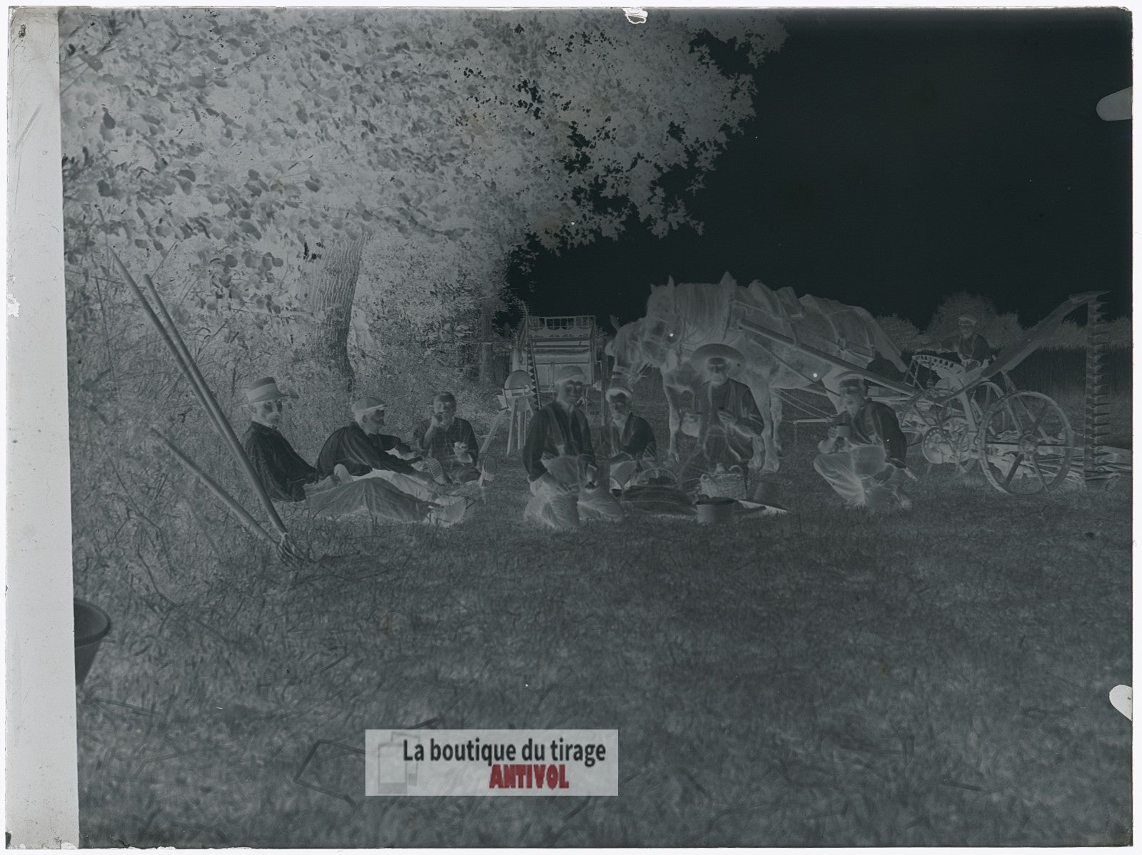 Travailleurs des champs, moissons, plaque verre, photo ancienne, négatif 9x12 cm