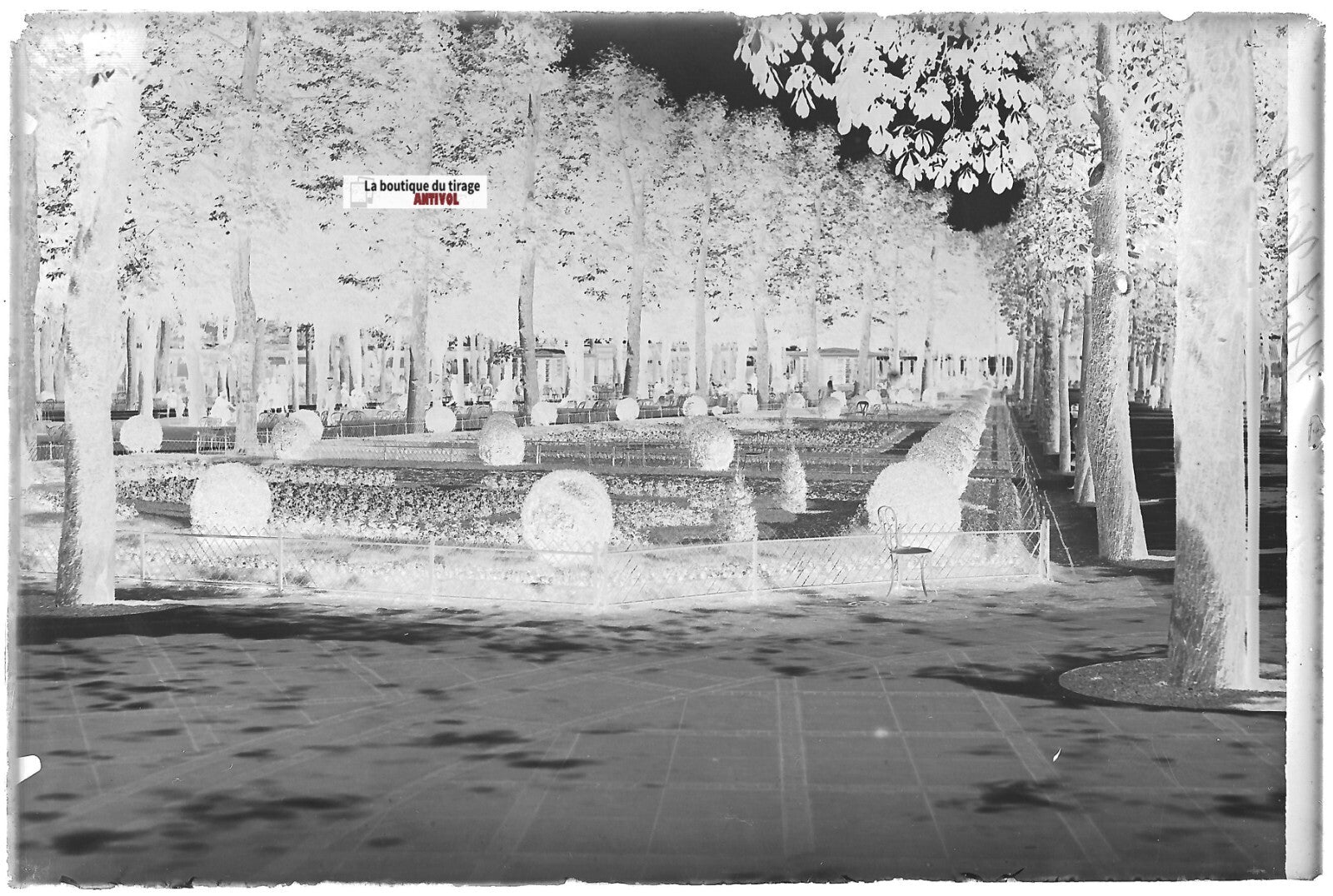 Vichy, parc public, Plaque verre photo ancienne, négatif noir & blanc 10x15 cm