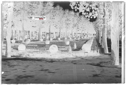 Vichy, parc public, Plaque verre photo ancienne, négatif noir & blanc 10x15 cm