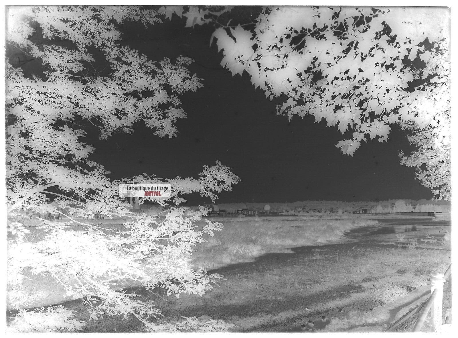Plaque verre photo ancienne négatif noir et blanc 13x18 cm rivière Vichy paysage
