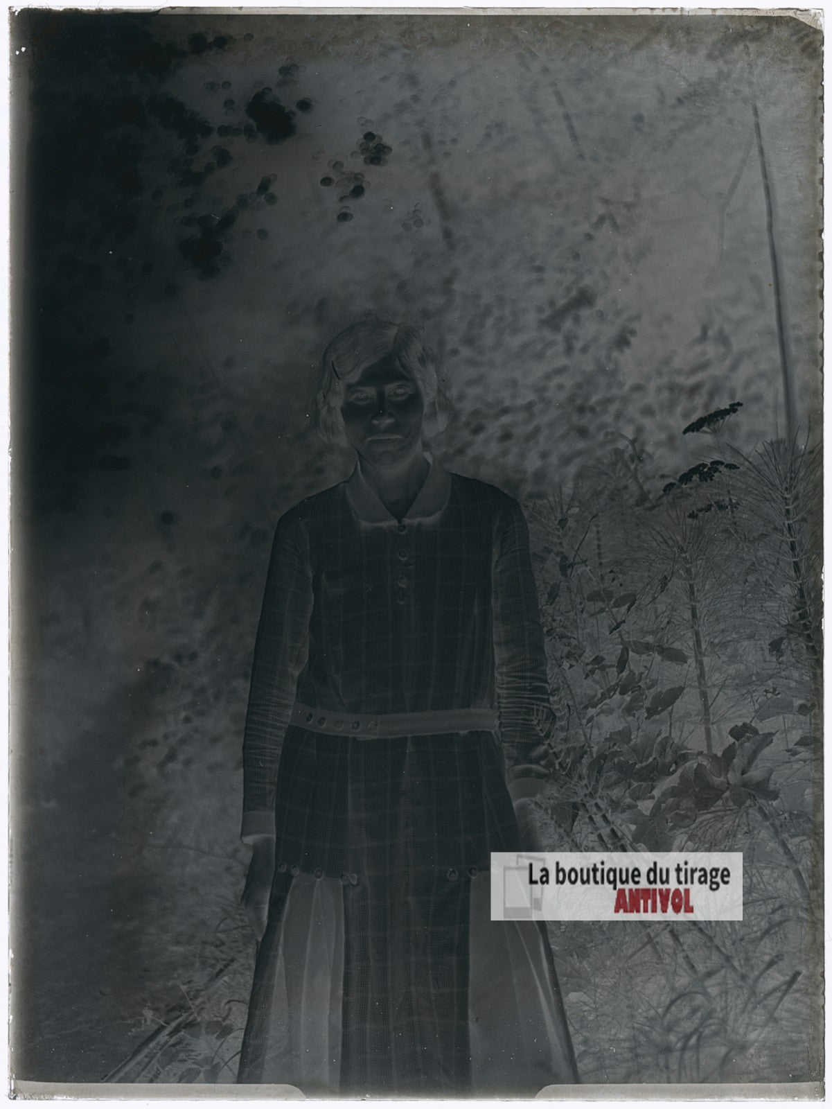Portrait d'une jeune femme, plaque verre photo ancienne, négatif 9x12 cm