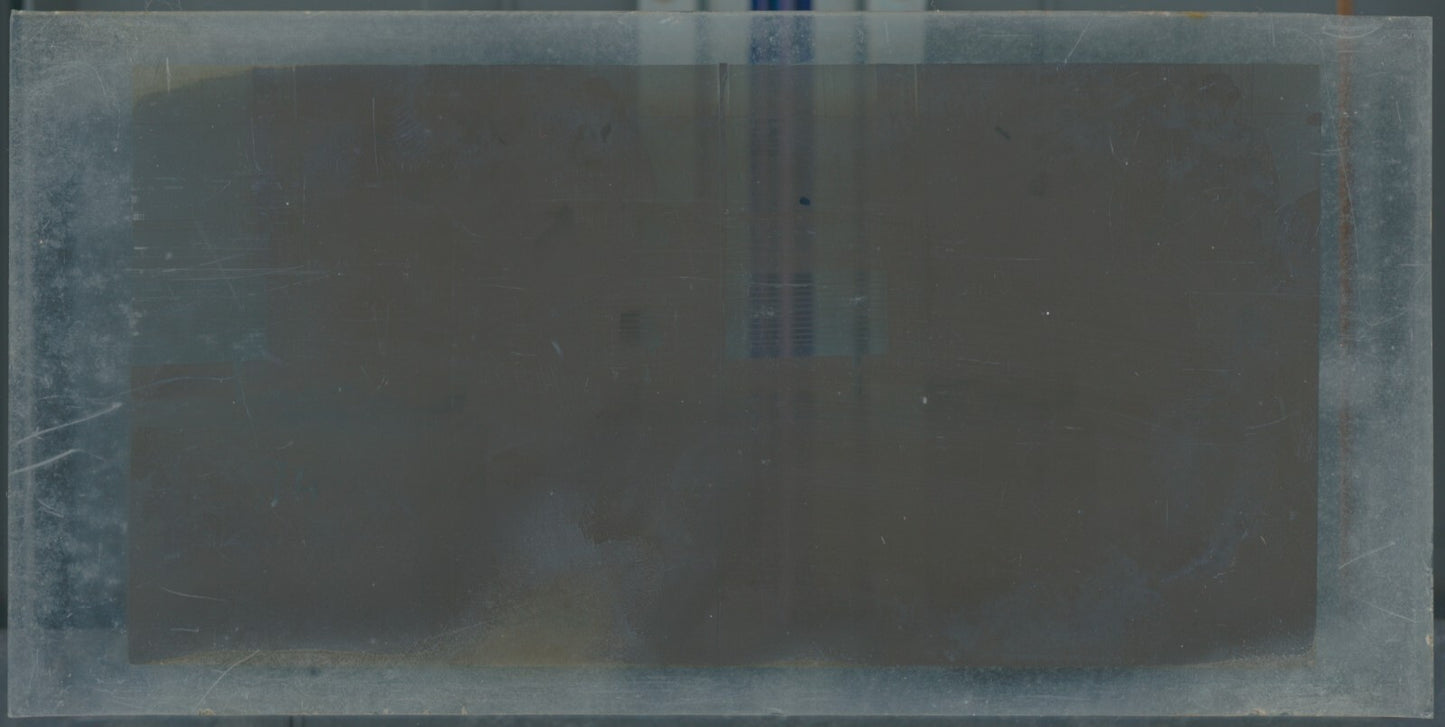 Hippodrome de Longchamp, Paris, stéréoscopie plaque verre, positif 8,5x17 cm