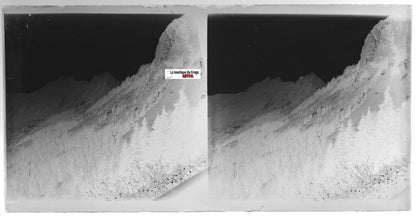 Montagne, nature, Plaque verre photo, stéréo négatif noir & blanc 9x18 cm
