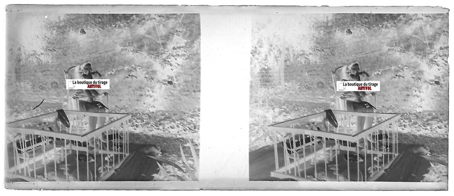 Enfant, mère, jeu, Plaque verre photo stéréo, négatif noir & blanc 4,5x10,7 cm