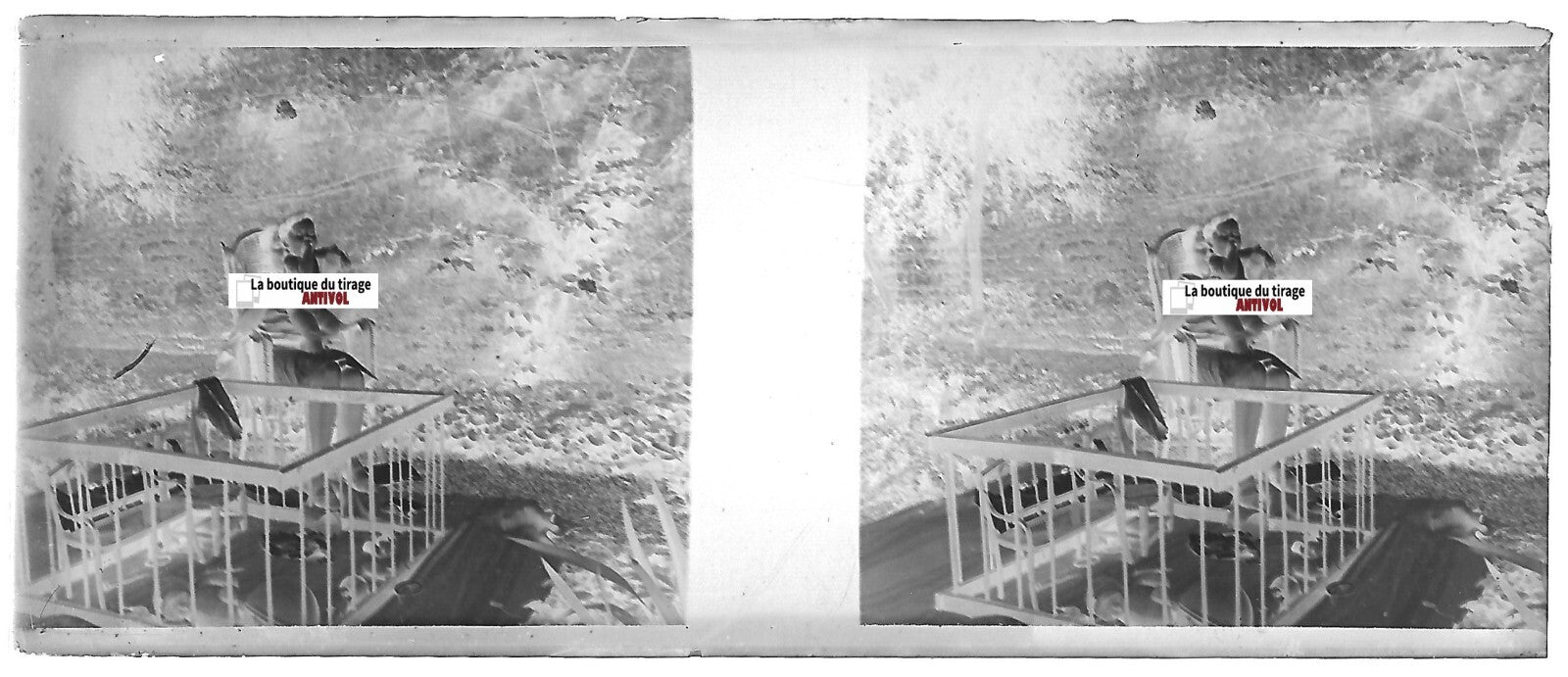 Enfant, mère, jeu, Plaque verre photo stéréo, négatif noir & blanc 4,5x10,7 cm