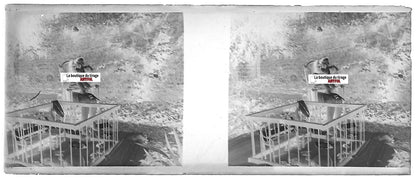 Enfant, mère, jeu, Plaque verre photo stéréo, négatif noir & blanc 4,5x10,7 cm