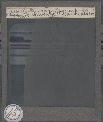 Couvent Saint-Jean-du-Désert, photo ancienne plaque de verre, positif 8,5x10 cm