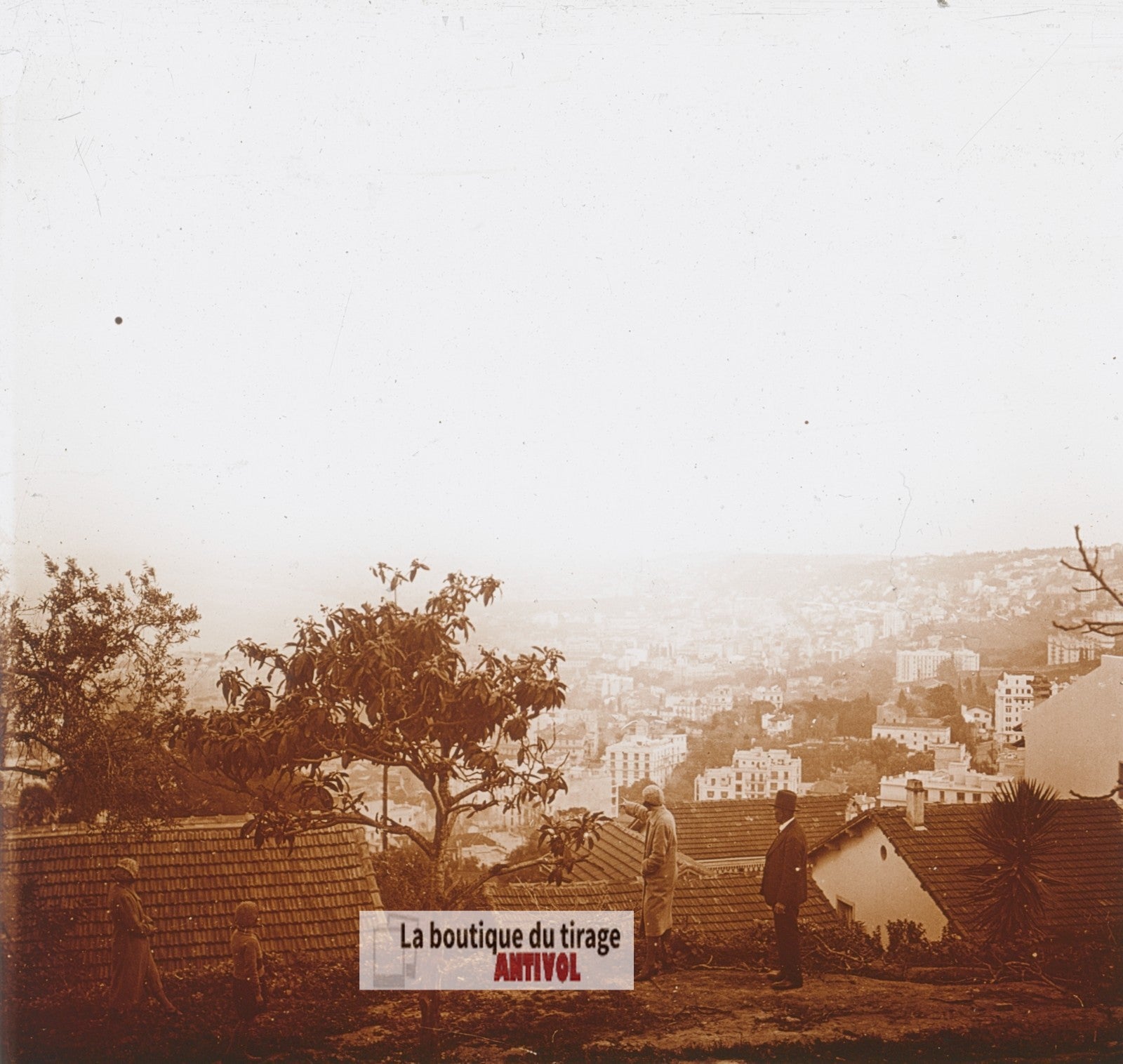 Sur les hauteurs d'Alger, Algérie, plaque verre photo ancienne stéréo 6x13 cm