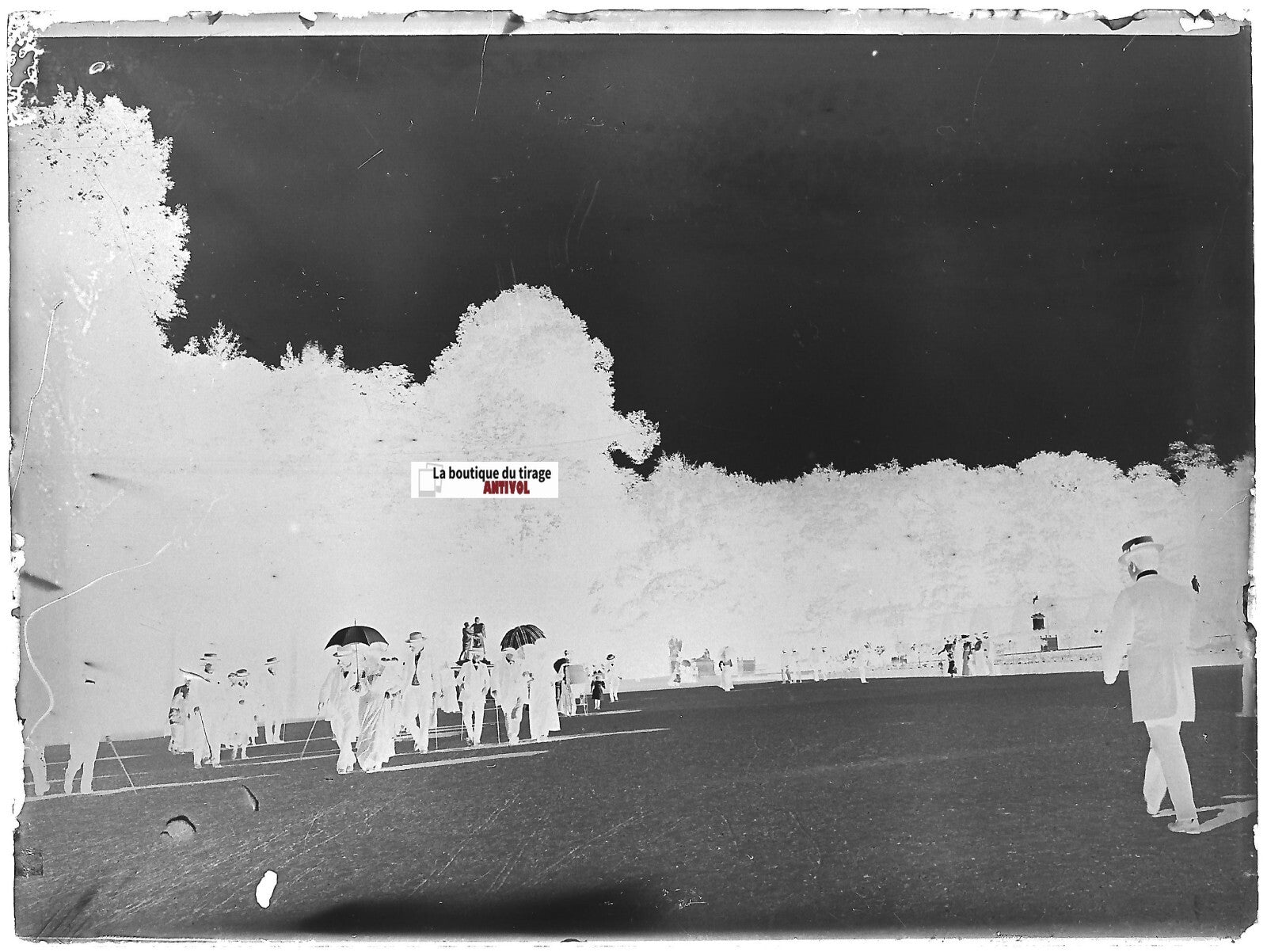 Parc Versailles, Plaque verre photo ancienne, négatif noir & blanc 9x12 cm