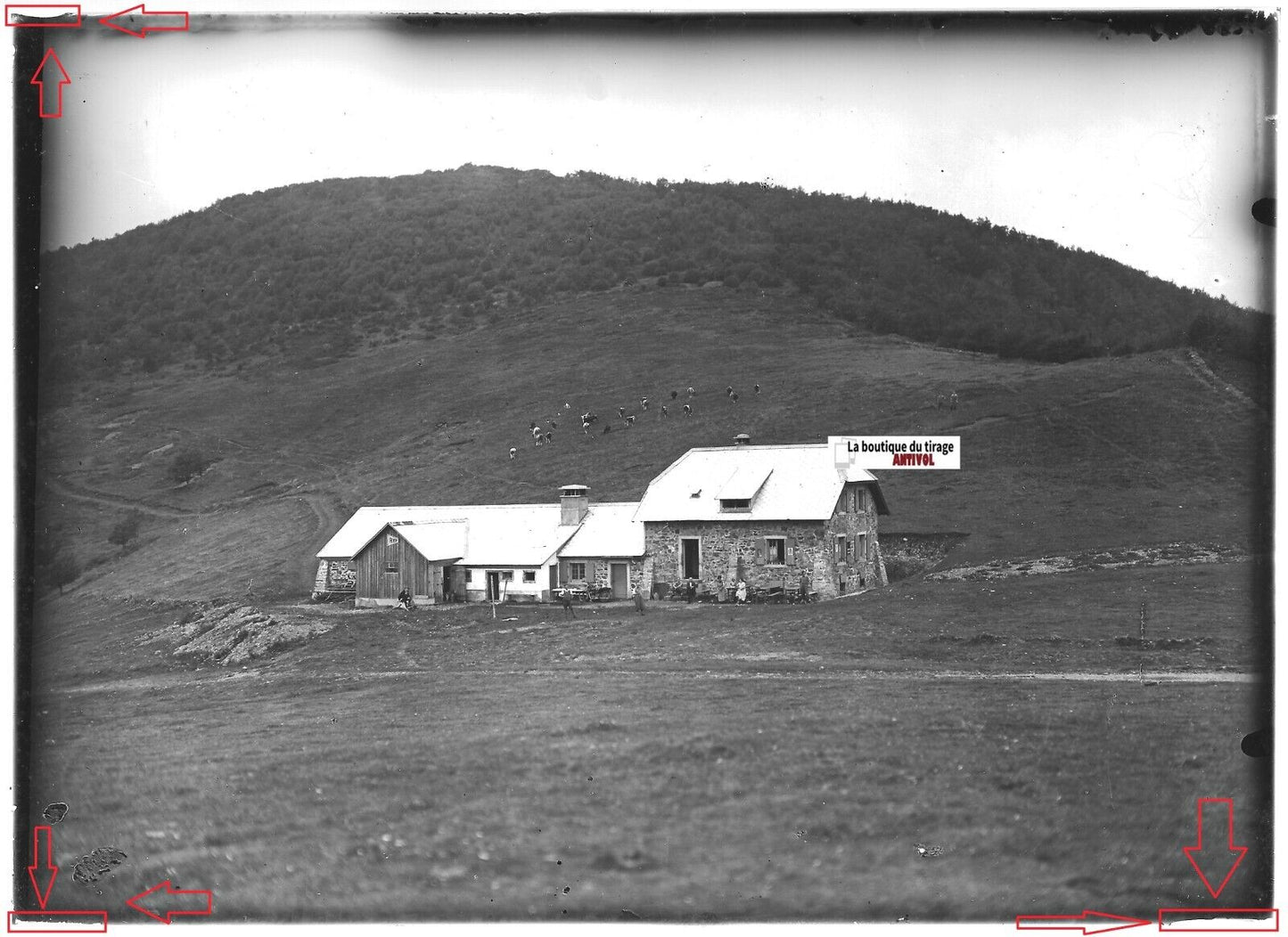 Plaque verre photo ancienne positif noir et blanc 13x18 cm montagne transhumance