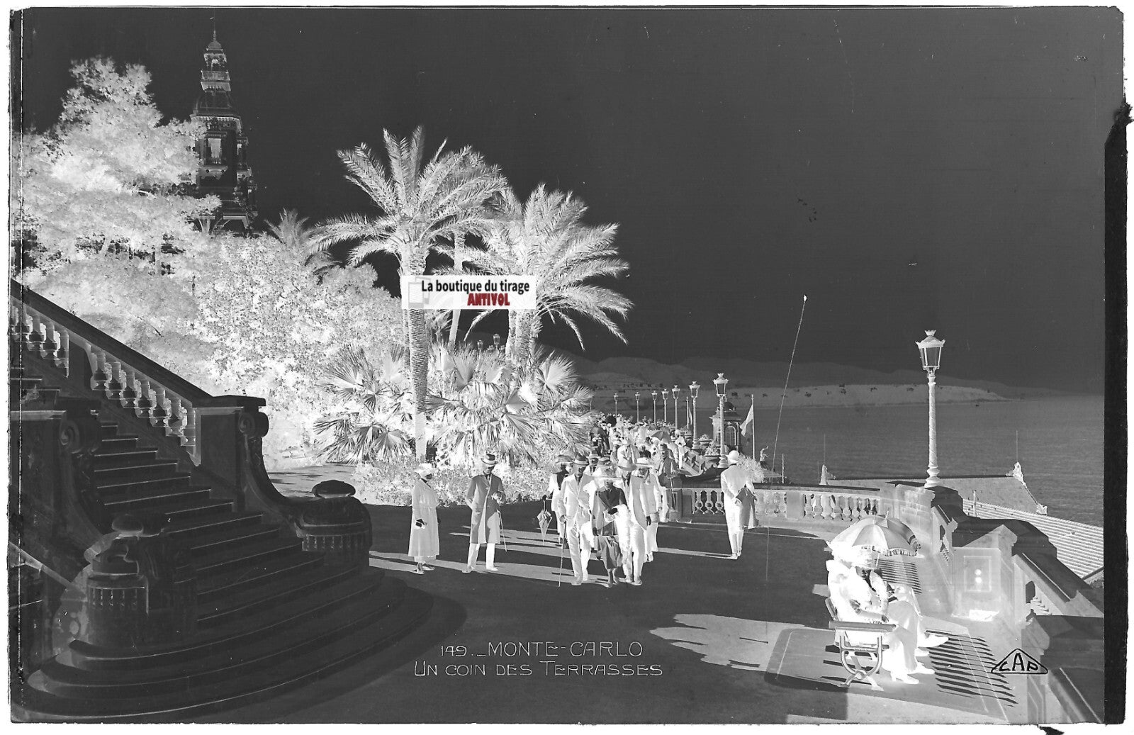Plaque verre, photo négatif noir & blanc 9x14 cm, Monte-Carlo Monaco, promenade